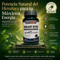SHILAJIT ULTRA — Resina Mineral Himalaya de Alta Pureza | 60 Cápsulas